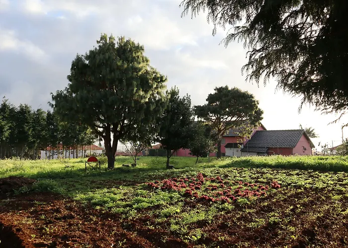 Casa D'avo Beatriz 4* Gaula