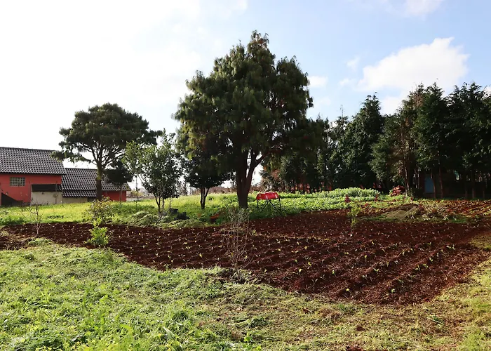 Gasthof Casa D'avo Beatriz Gaula