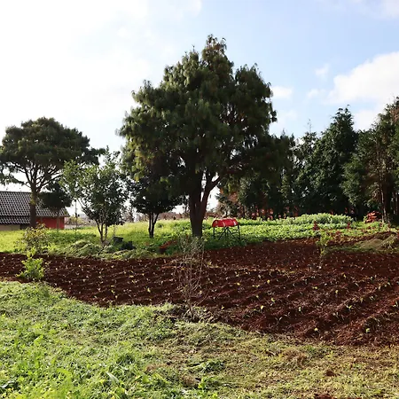 Πανσιόν Casa D'avo Beatriz Gaula